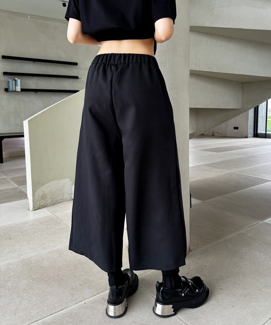 Half pleated wide pants