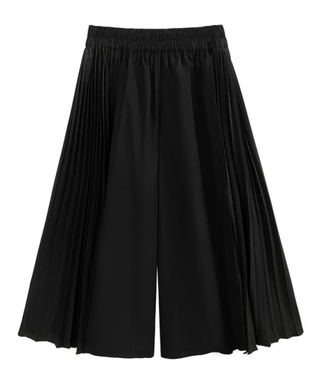 Side pleated wide pants